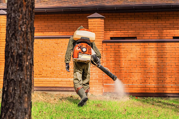 Cockroach Follow-Up and Monitoring in Hopwood